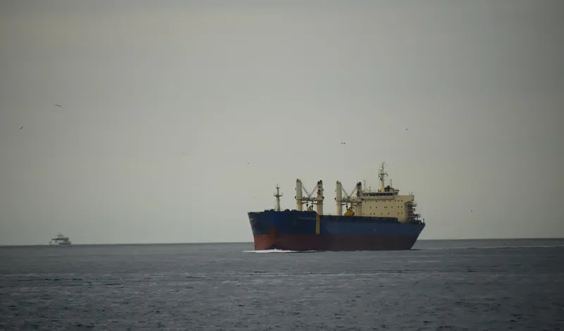 VAN FORTUNE Bulk Carrier IMO 9434711 photo 10