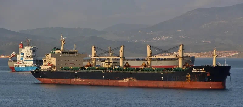 KIRANA NAREE Bulk Carrier IMO 9434723 photo 4