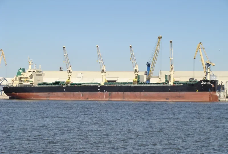 KIRANA NAREE Bulk Carrier IMO 9434723 photo 8
