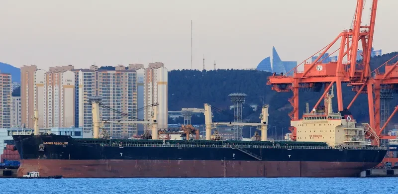 SSI INVINCIBLE II Bulk Carrier IMO 9434747 photo 3