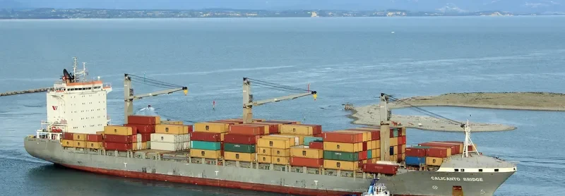 SEASPAN CALICANTO Container Ship IMO 9435038 photo 8