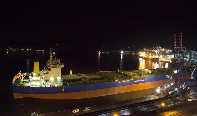 MINERAL TEMSE Bulk Carrier IMO 9435052