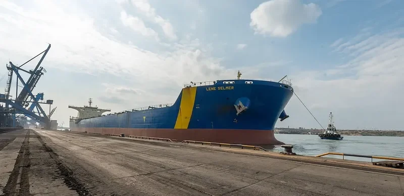 MINERAL TEMSE Bulk Carrier IMO 9435052 photo 2