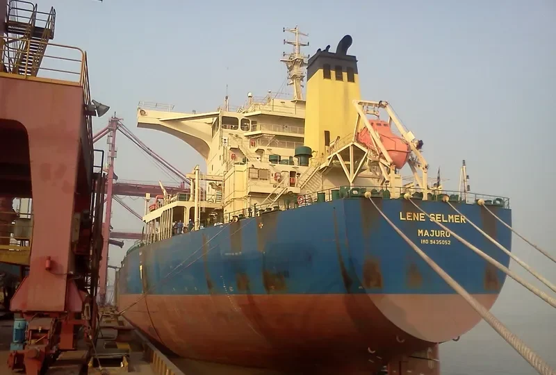 MINERAL TEMSE Bulk Carrier IMO 9435052 photo 5