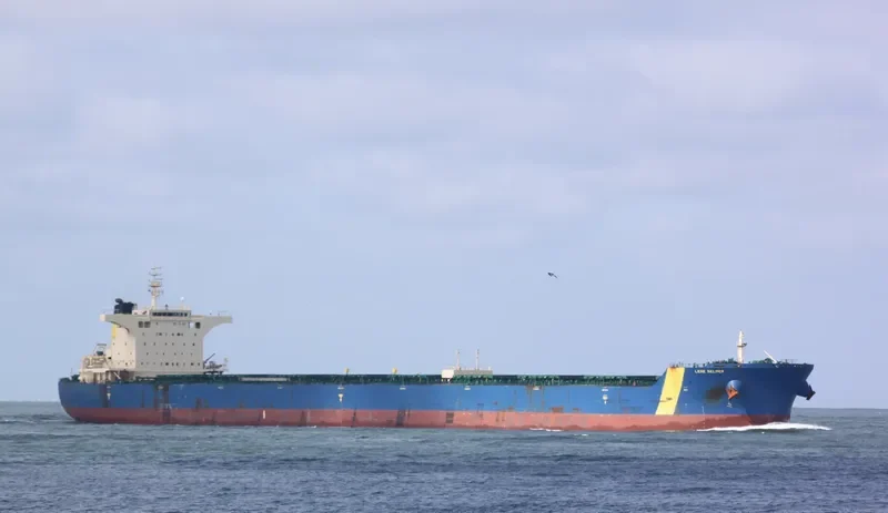 MINERAL TEMSE Bulk Carrier IMO 9435052 photo 8
