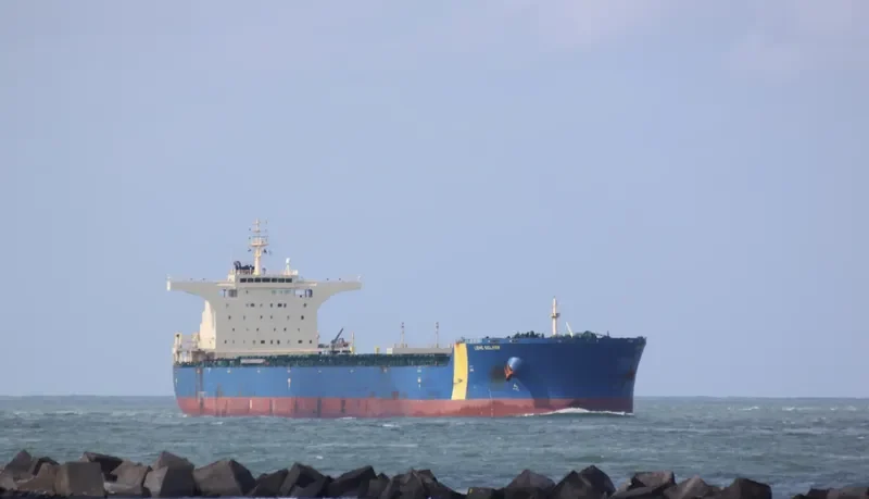 MINERAL TEMSE Bulk Carrier IMO 9435052 photo 9