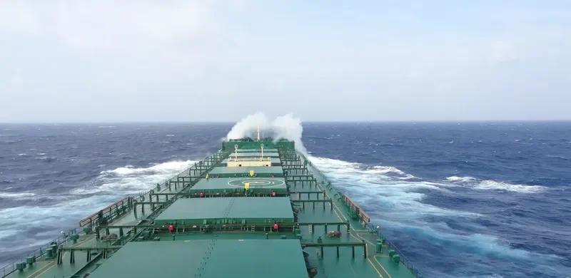 MINERAL TEMSE Bulk Carrier IMO 9435052 photo 10