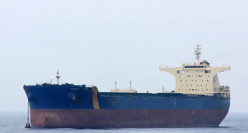 MINERAL BRUGGE Bulk Carrier IMO 9435064 photo 4