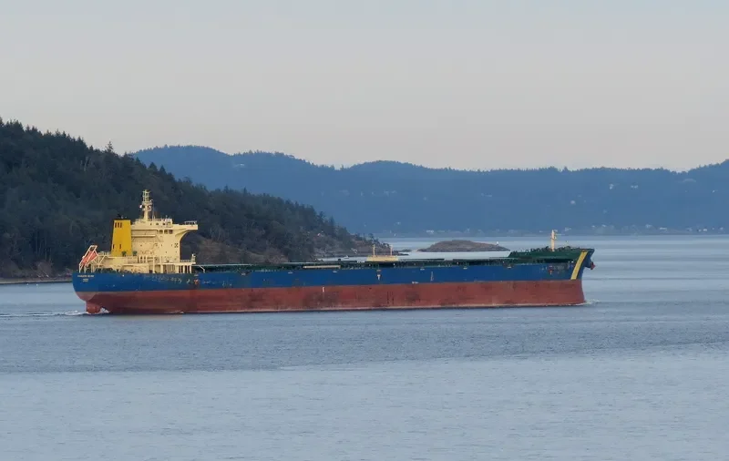 MINERAL BRUGGE Bulk Carrier IMO 9435064 photo 10