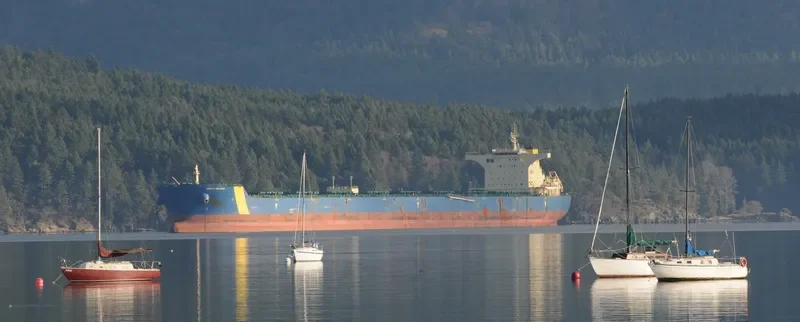 MINERAL GENT Bulk Carrier IMO 9435076 photo 3
