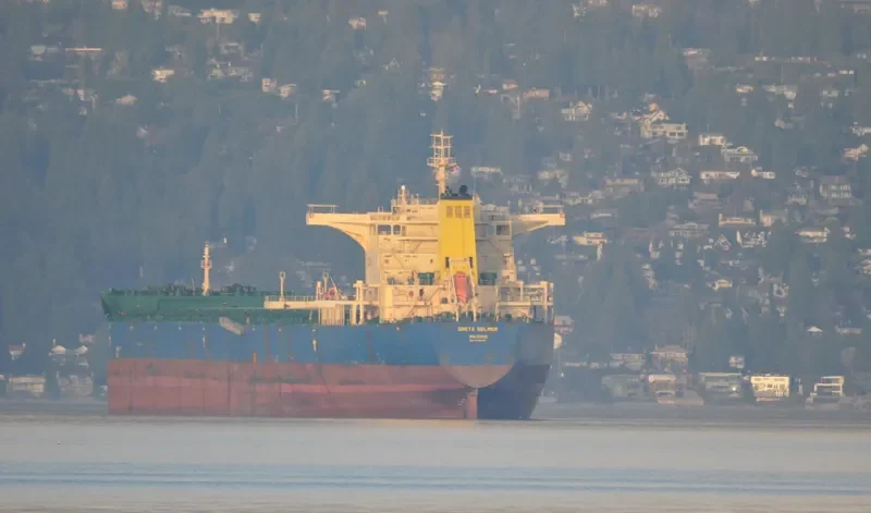 MINERAL GENT Bulk Carrier IMO 9435076 photo 6