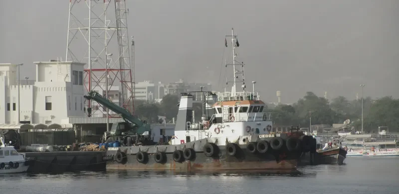 SBS POWER 2 General Cargo IMO 9435442