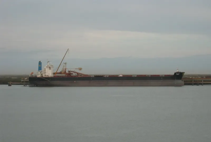 GOLDEN FENG Bulk Carrier IMO 9435648