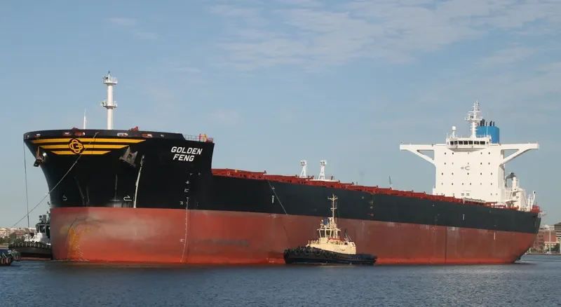 GOLDEN FENG Bulk Carrier IMO 9435648 photo 2