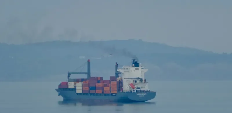 LOUISA SCHULTE Container Ship IMO 9435674 photo 10