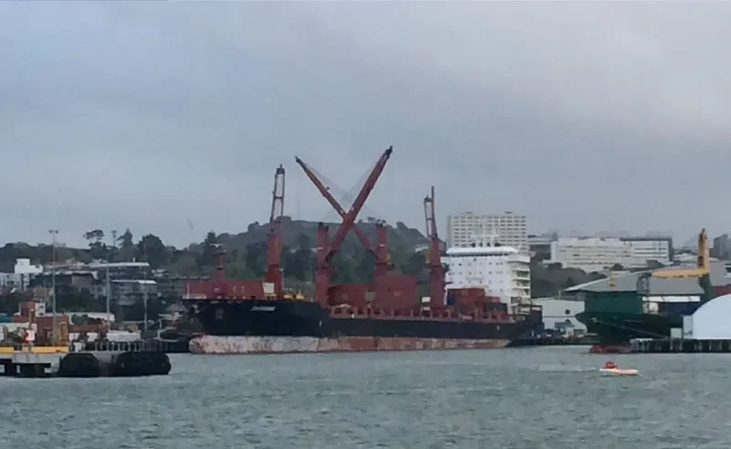 HOHEBANK Container Ship IMO 9435818