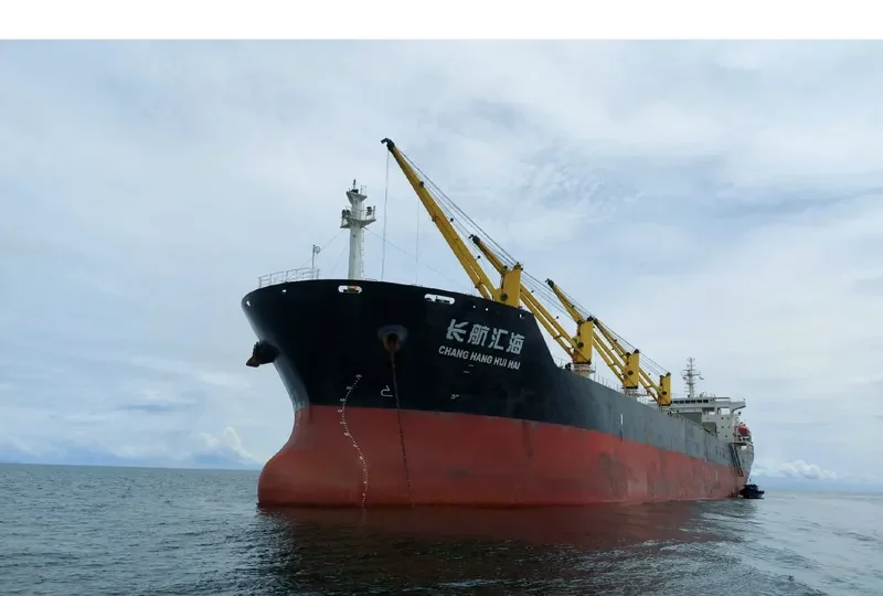 CHANG HANG HUI HAI Bulk Carrier IMO 9436109 photo 3