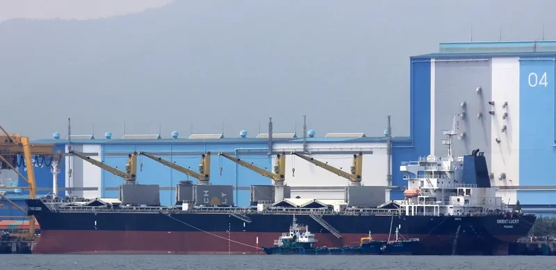 ORIENT LUCKY Bulk Carrier IMO 9436111 photo 6