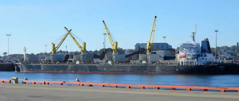 ORIENT LUCKY Bulk Carrier IMO 9436111 photo 7