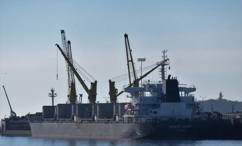 ORIENT LUCKY Bulk Carrier IMO 9436111 photo 8