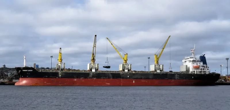 ORIENT LUCKY Bulk Carrier IMO 9436111 photo 9