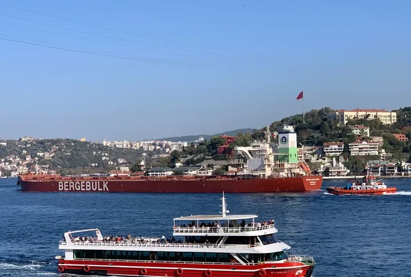 BERGE SONG SHAN Bulk Carrier IMO 9436513 photo 7