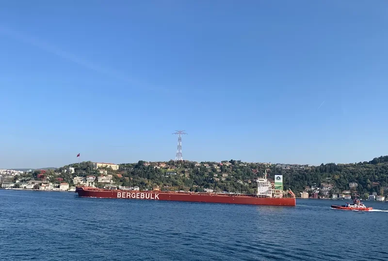 BERGE SONG SHAN Bulk Carrier IMO 9436513 photo 8
