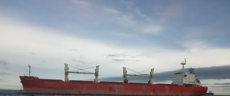 FORTUNE STAR Bulk Carrier IMO 9436721