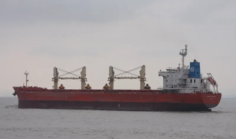 FORTUNE STAR Bulk Carrier IMO 9436721 photo 3