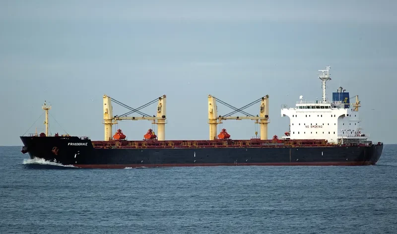 FRIEDERIKE Bulk Carrier IMO 9436769 photo 2