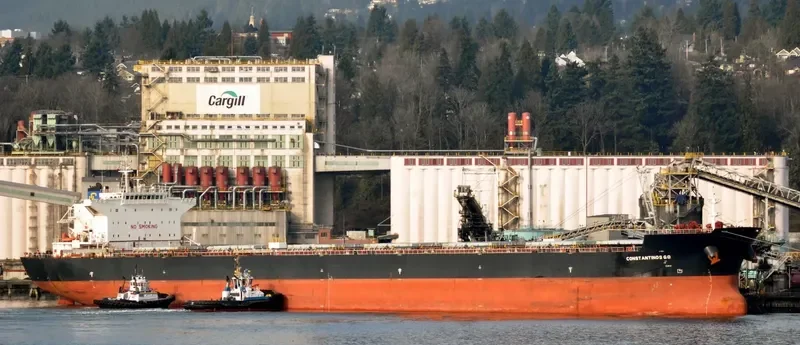 CONSTANTINOS G.O. Bulk Carrier IMO 9437098 photo 10