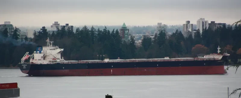 ATHANASSIOS G.O. Bulk Carrier IMO 9437103 photo 2