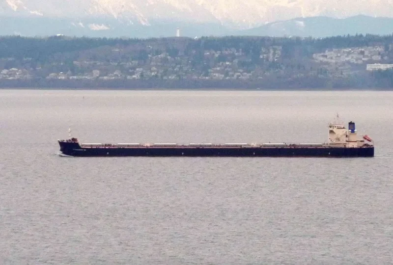 ATHANASSIOS G.O. Bulk Carrier IMO 9437103 photo 7