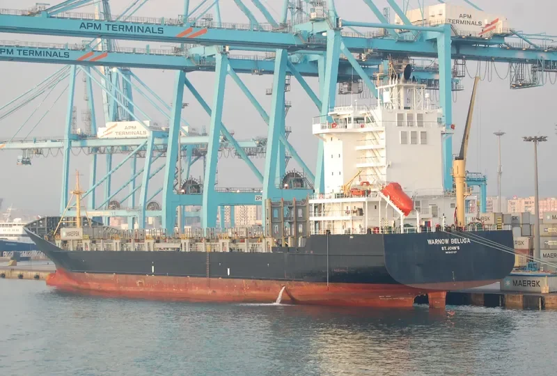 WARNOW BELUGA Container Ship IMO 9437127 photo 3