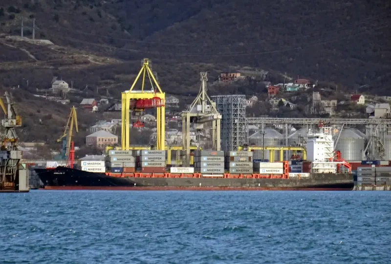 ANNALISA P Container Ship IMO 9437141