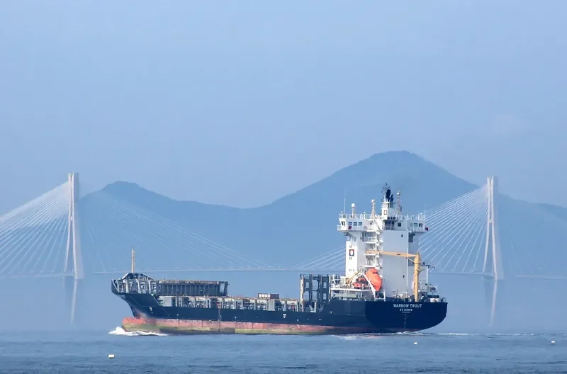 BF TROUT Container Ship IMO 9437232 photo 4
