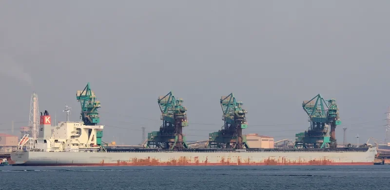 CAPE INFINITY Bulk Carrier IMO 9437270 photo 3