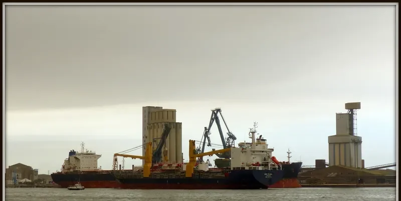 JANIS General Cargo IMO 9437311