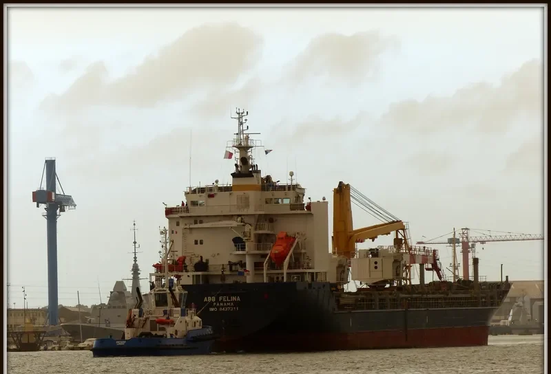 JANIS General Cargo IMO 9437311 photo 4