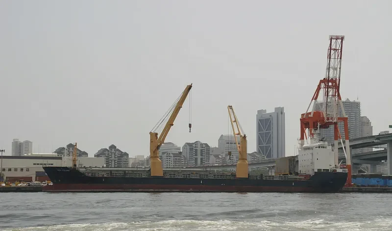 JANIS General Cargo IMO 9437311 photo 5