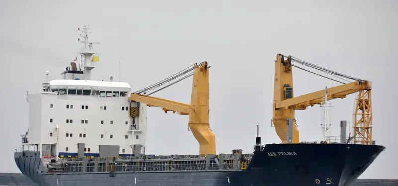 JANIS General Cargo IMO 9437311 photo 6