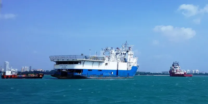 PACIFIC FALCON General Cargo IMO 9437373 photo 2