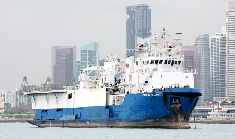 PACIFIC FALCON General Cargo IMO 9437373 photo 3