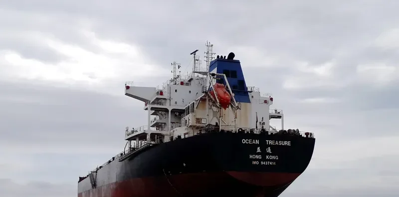 OCEAN TREASURE Bulk Carrier IMO 9437414 photo 3