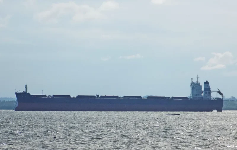 OCEAN TREASURE Bulk Carrier IMO 9437414 photo 7