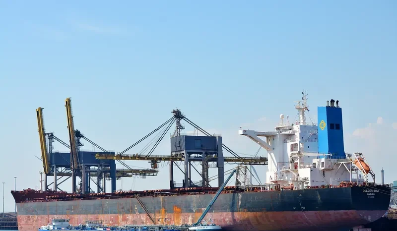 GOLDEN SHUI Bulk Carrier IMO 9437696 photo 2