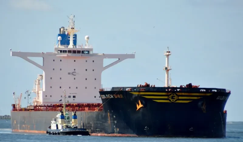 GOLDEN SHUI Bulk Carrier IMO 9437696 photo 4