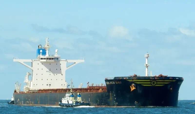 GOLDEN SHUI Bulk Carrier IMO 9437696 photo 5