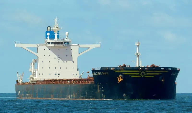 GOLDEN SHUI Bulk Carrier IMO 9437696 photo 7