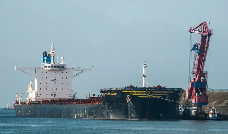 GOLDEN SHUI Bulk Carrier IMO 9437696 photo 9